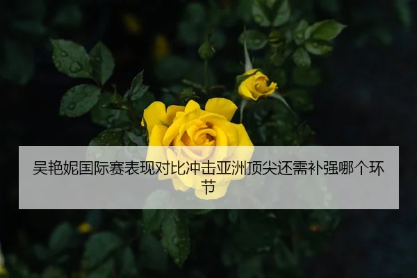 吴艳妮国际赛表现对比冲击亚洲顶尖还需补强哪个环节
