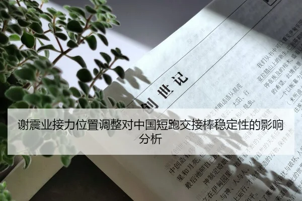 谢震业接力位置调整对中国短跑交接棒稳定性的影响分析