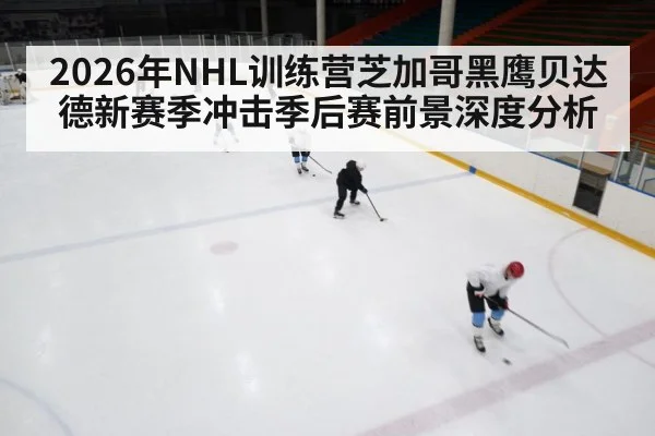 2026年NHL训练营芝加哥黑鹰贝达德新赛季冲击季后赛前景深度分析